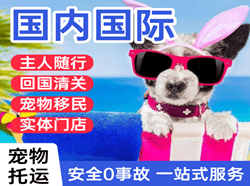 桂林两江机场快运国际宠物托运 【国